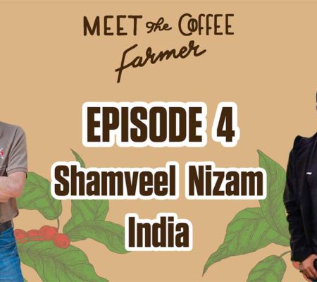 India, un viaggio all’origine dei migliori caffè robusta