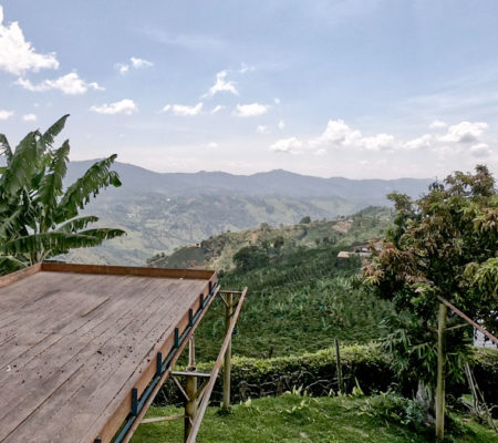 Viaggio in Colombia, alla scoperta dell’Arabica sostenibile
